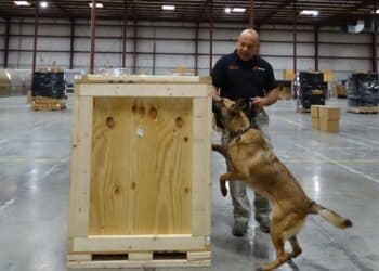 A canine and handler inspect cargo